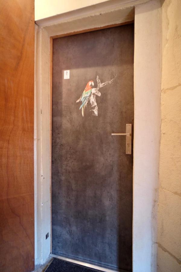 Le Perroquet Fringant, Rue Pietonne Et Quartier Historique Apartment ก็อง ภายนอก รูปภาพ